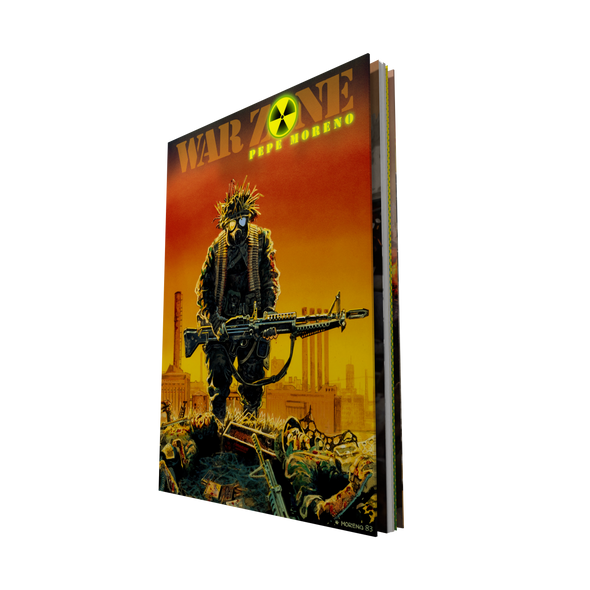 THE WAR ZONE (Graphic Novel)