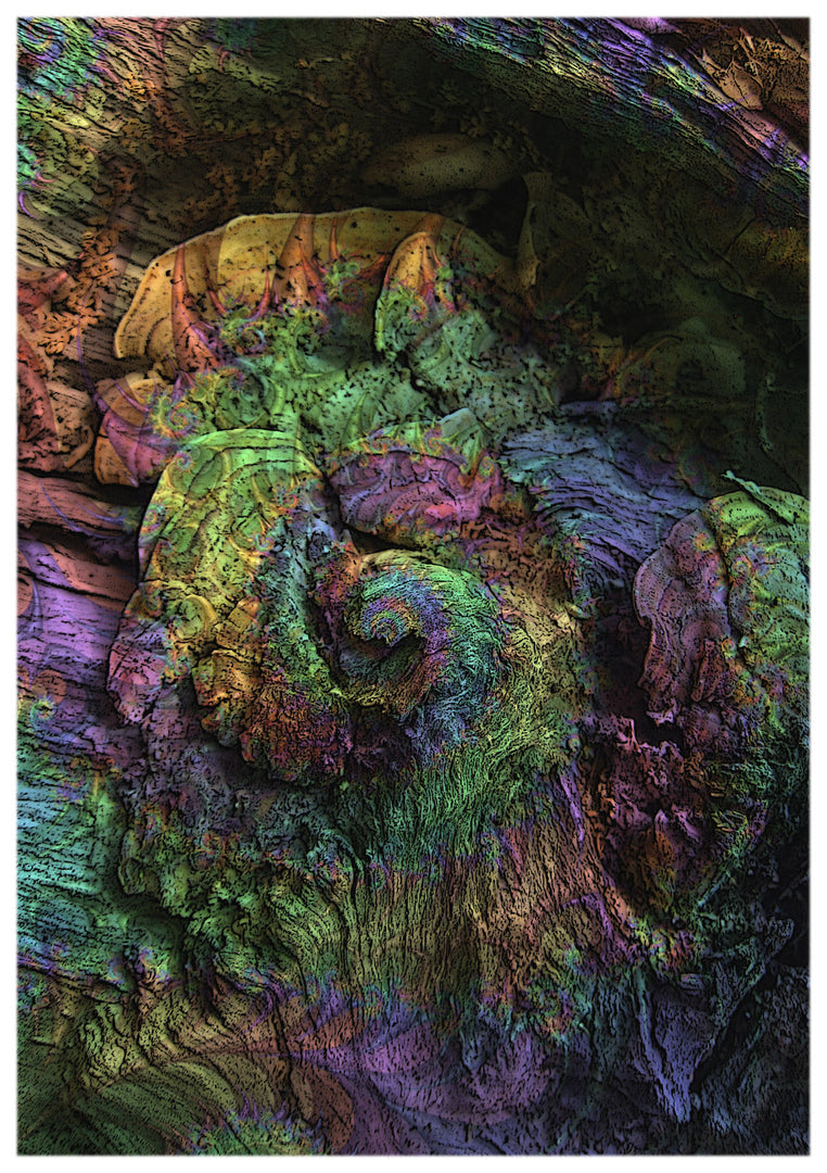 Chameleon